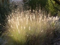 2 Summer Tele-Workshops Sharpen Skills for Memoir Writers & NonFiction Writers & Provide Needed Writing Support During Summer Months