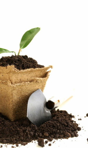 Breaking Ground on Your Story–Free Memoir Webinar