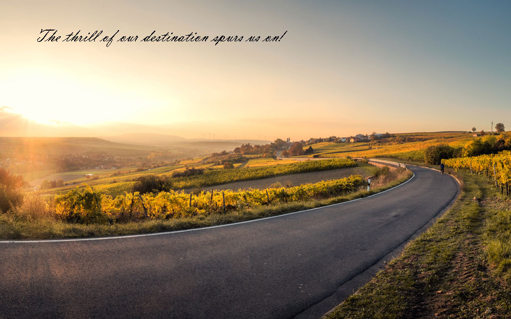 The Psychological Journey of Memoir Writing